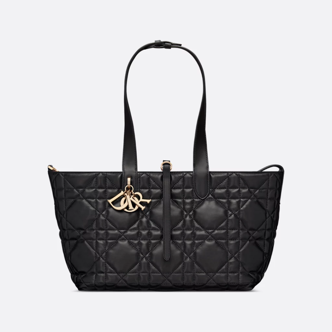DIOR MEDIUM HAND BAG