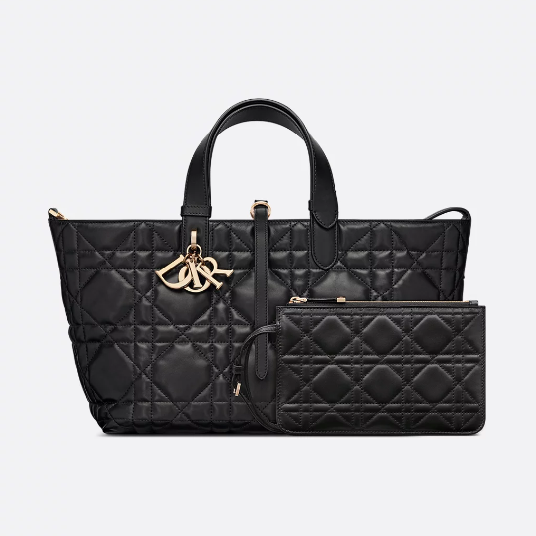 DIOR MEDIUM HAND BAG