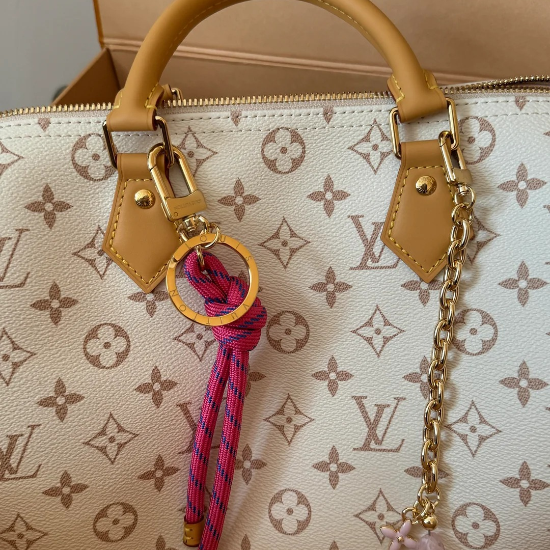 LOUIS VUITTON MEDIUM HAND BAG