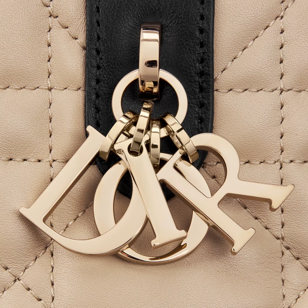 DIOR TOUJOURS SMALL BAG
